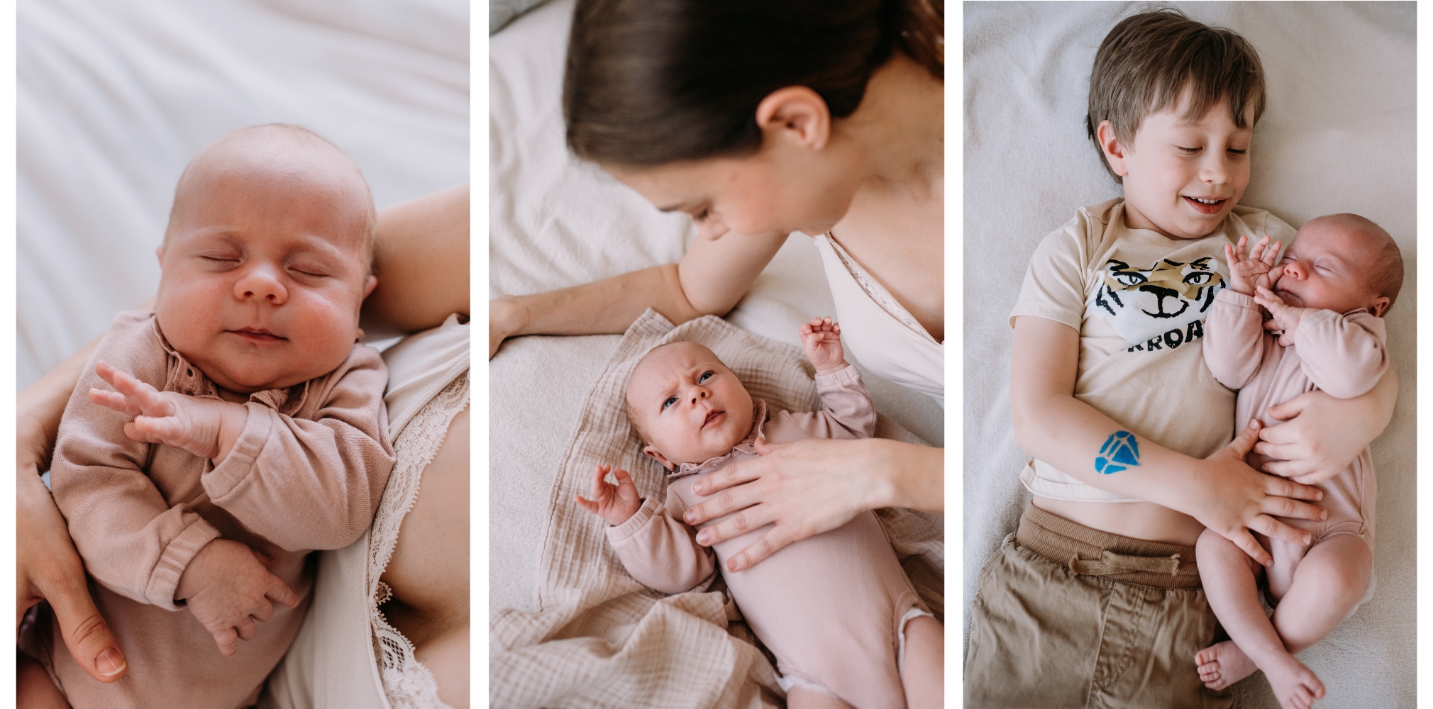 sesja noworodkowa oferta warszawa