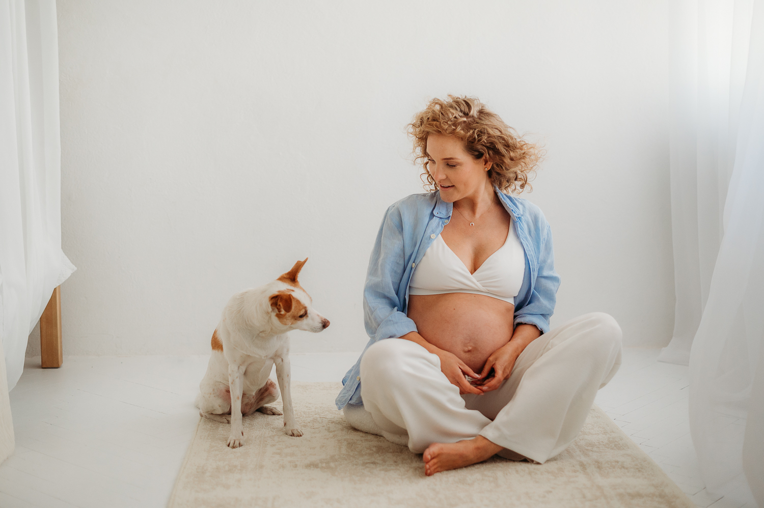 sesja ciążowa w studio z psem 