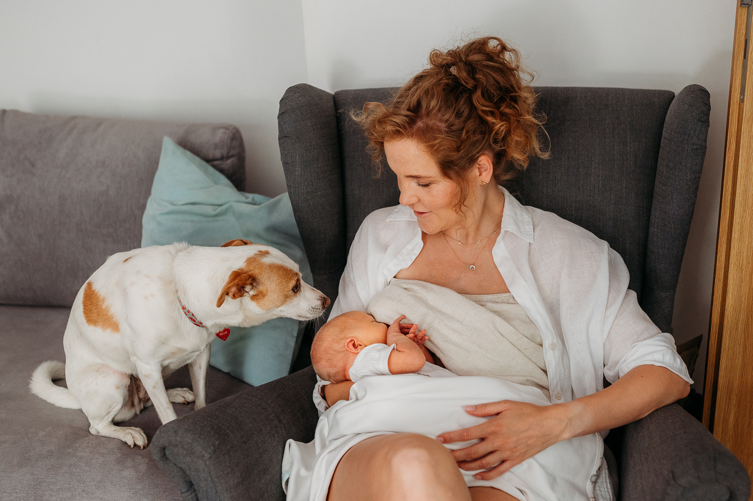 mama karmi noworodka, a obok stoi pies i wącha główki malucha