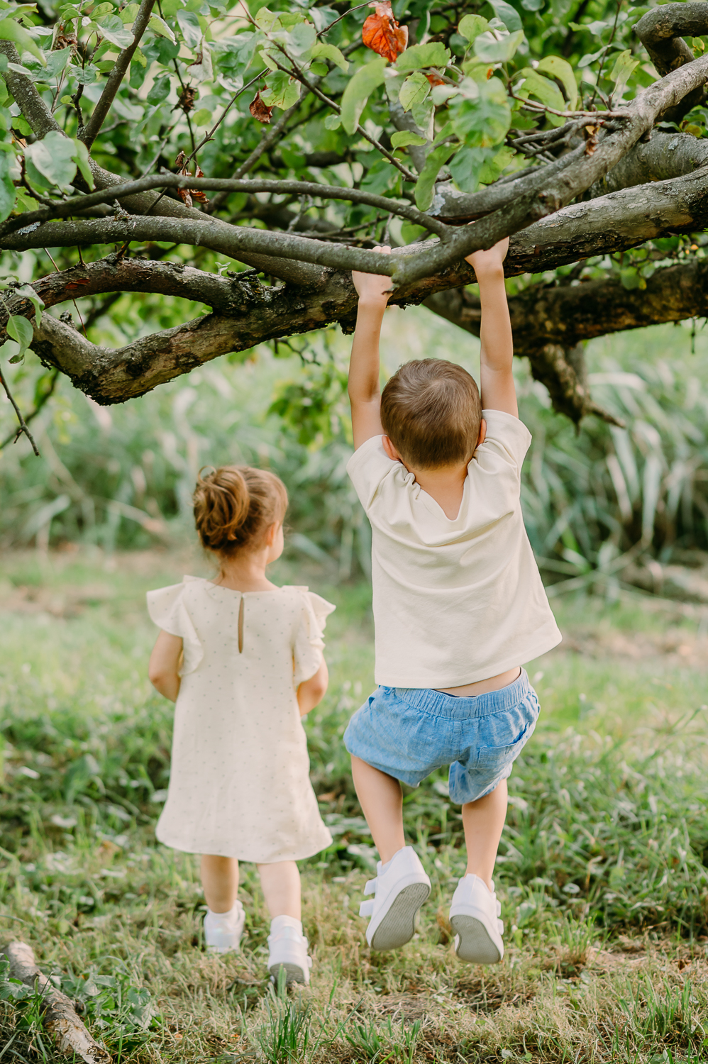 dzieci huśtają się na gałęzi 