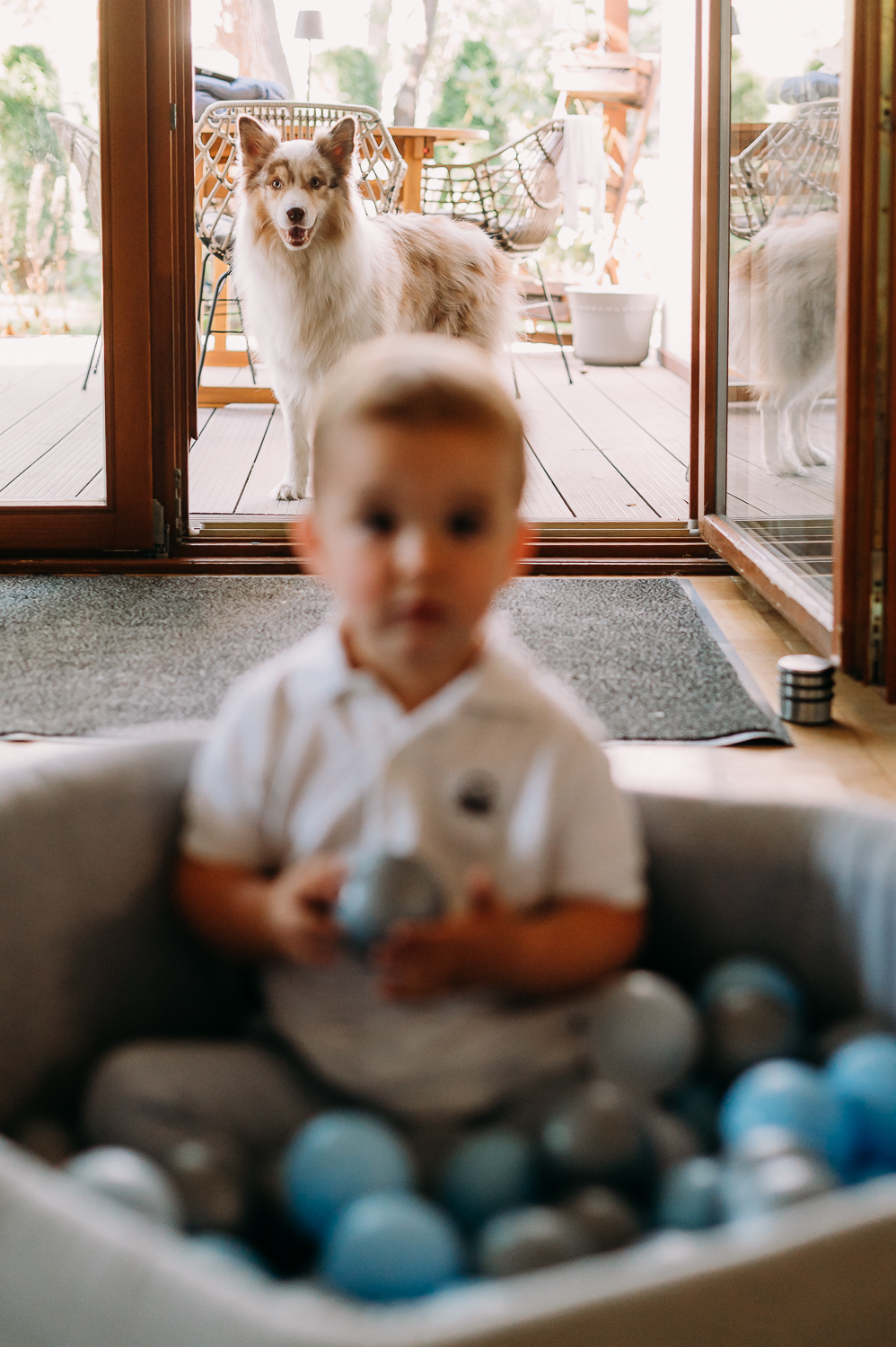 zbliżenie na psa stojącego w tle podczas sesji rodzinnej z dzieckiem w warszawie